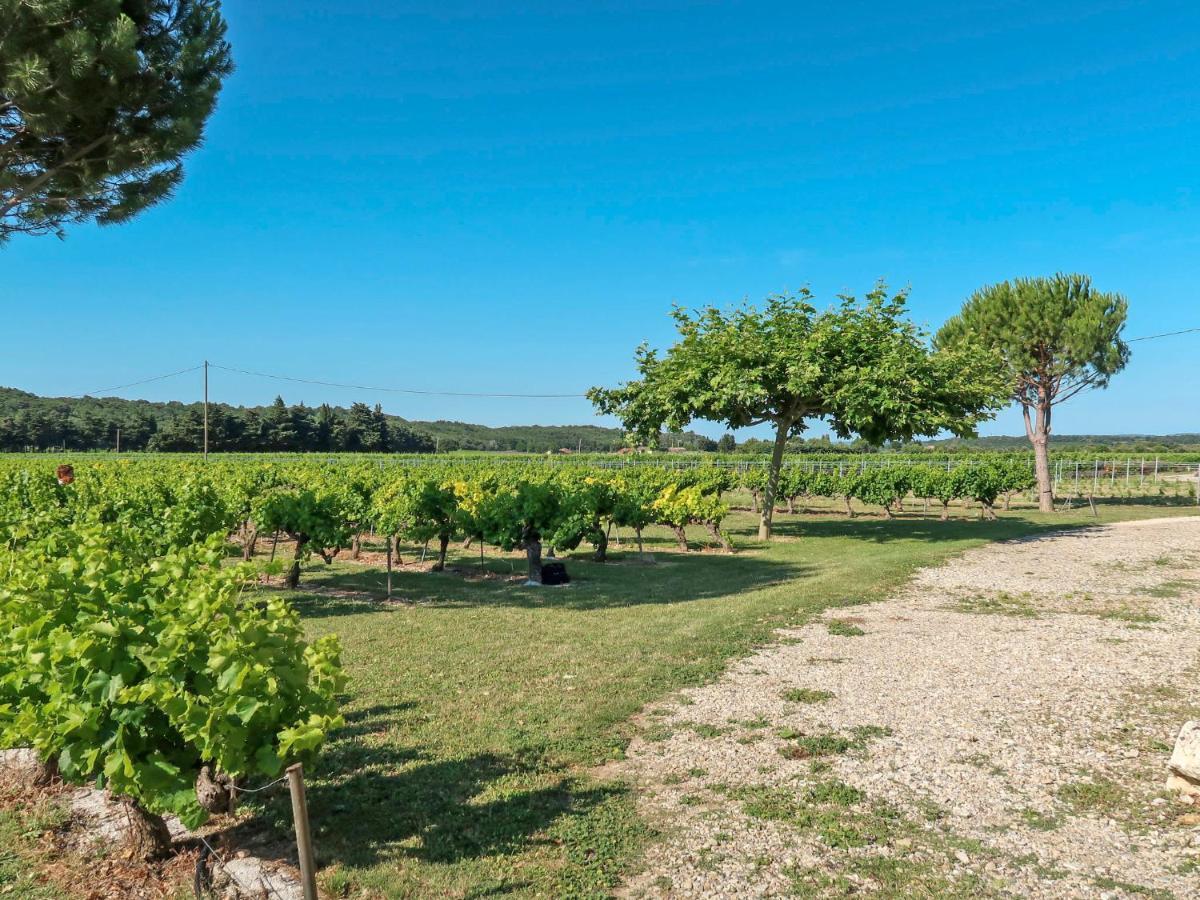 Holiday Home La Cardeline By Interhome Grillon Bagian luar foto